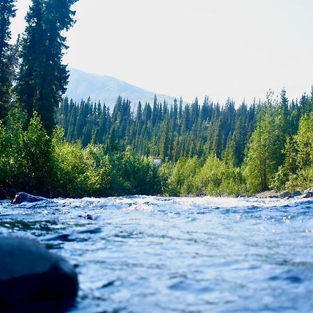 The Perch Resort Denali Park Buitenkant foto