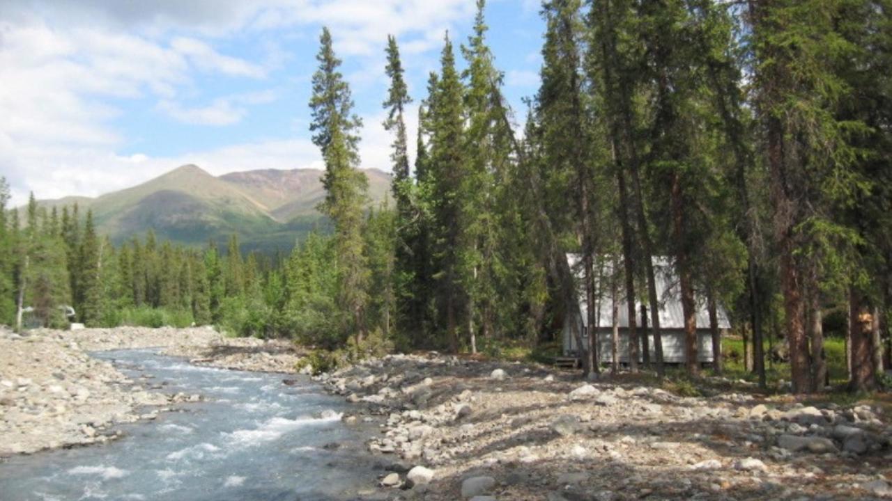 The Perch Resort Denali Park Buitenkant foto