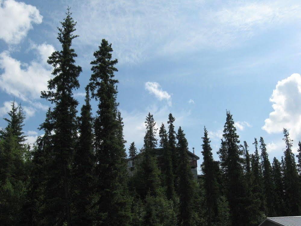 The Perch Resort Denali Park Buitenkant foto