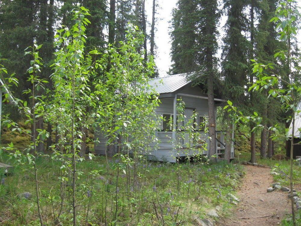 The Perch Resort Denali Park Buitenkant foto