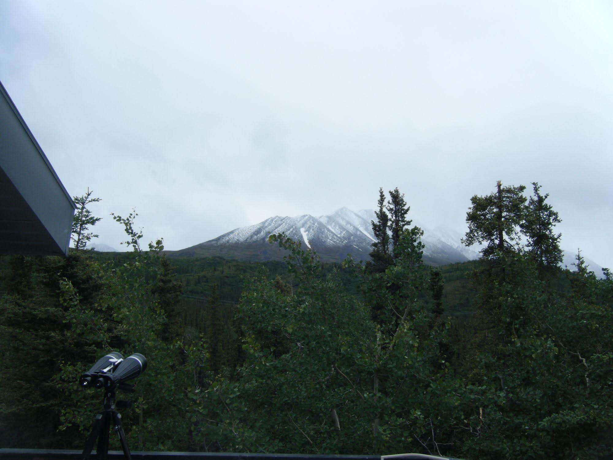 The Perch Resort Denali Park Buitenkant foto